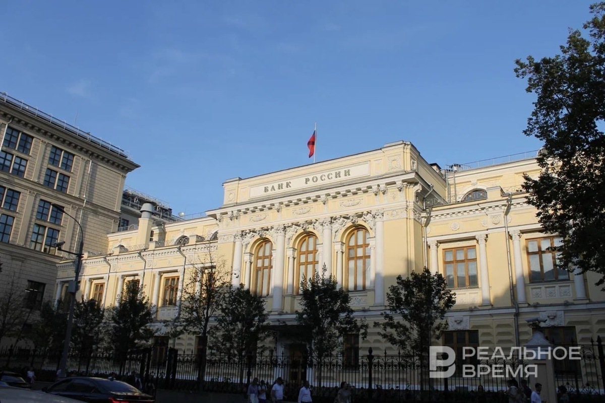   Анастасия Фартыгина / realnoevremya.ru