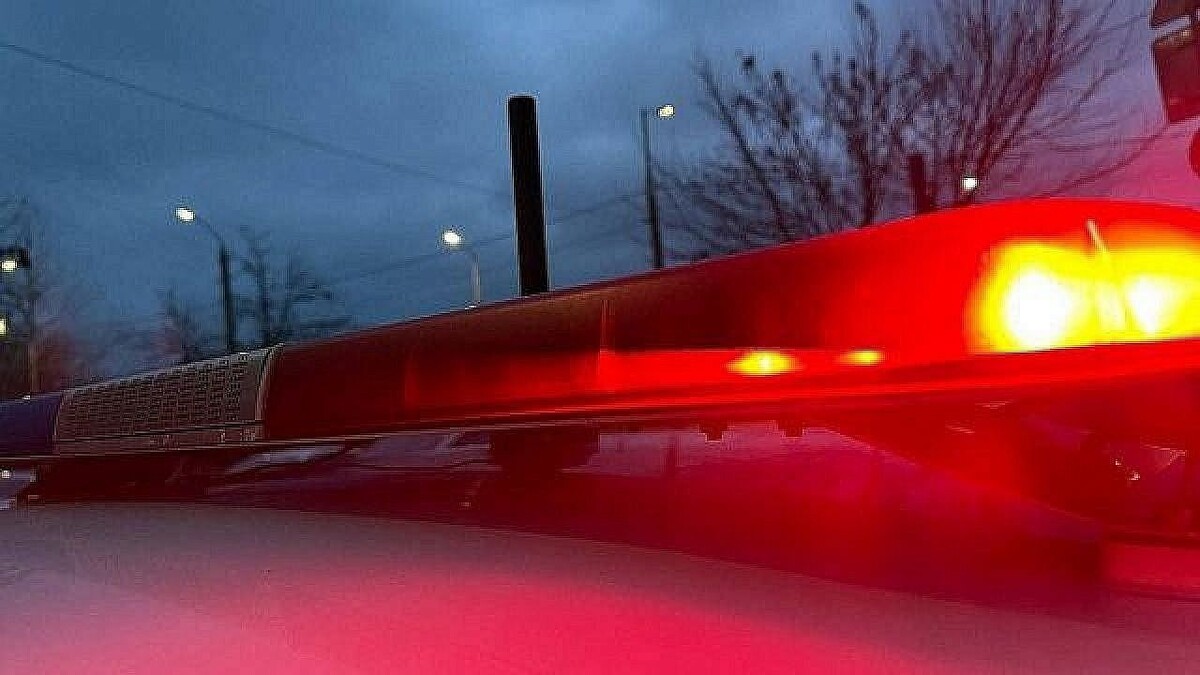    Фото: телеканал «Краснодар»