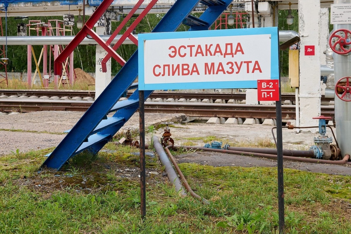   Динар Фатыхов / realnoevremya.ru