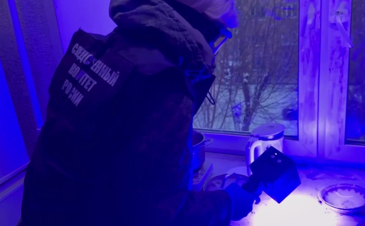 Фото: ГСУ СК России по Красноярскому краю и Республике Хакасия