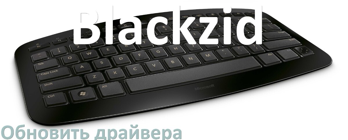 
Как обновить драйвер клавиатуры Blackzid и установить в Windows 10 и 11