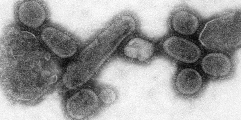 Испанский грипп