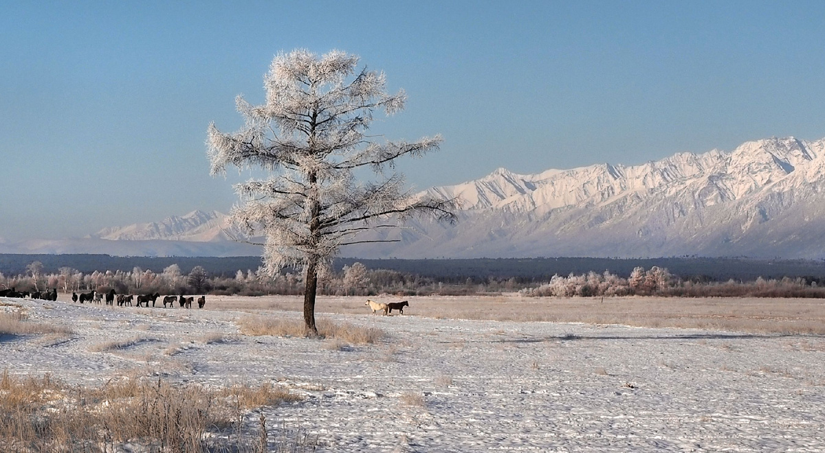Тункинская долина. Фото: Александр Попов