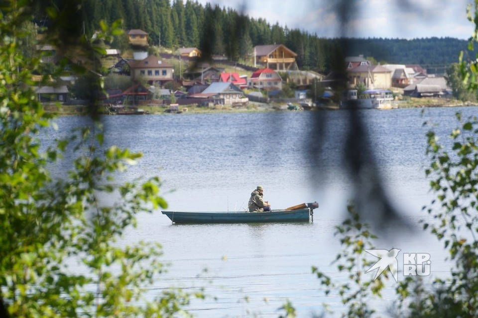   Замороженный мотыль является самым популярным и универсальным кормом для рыб Алексей БУЛАТОВ