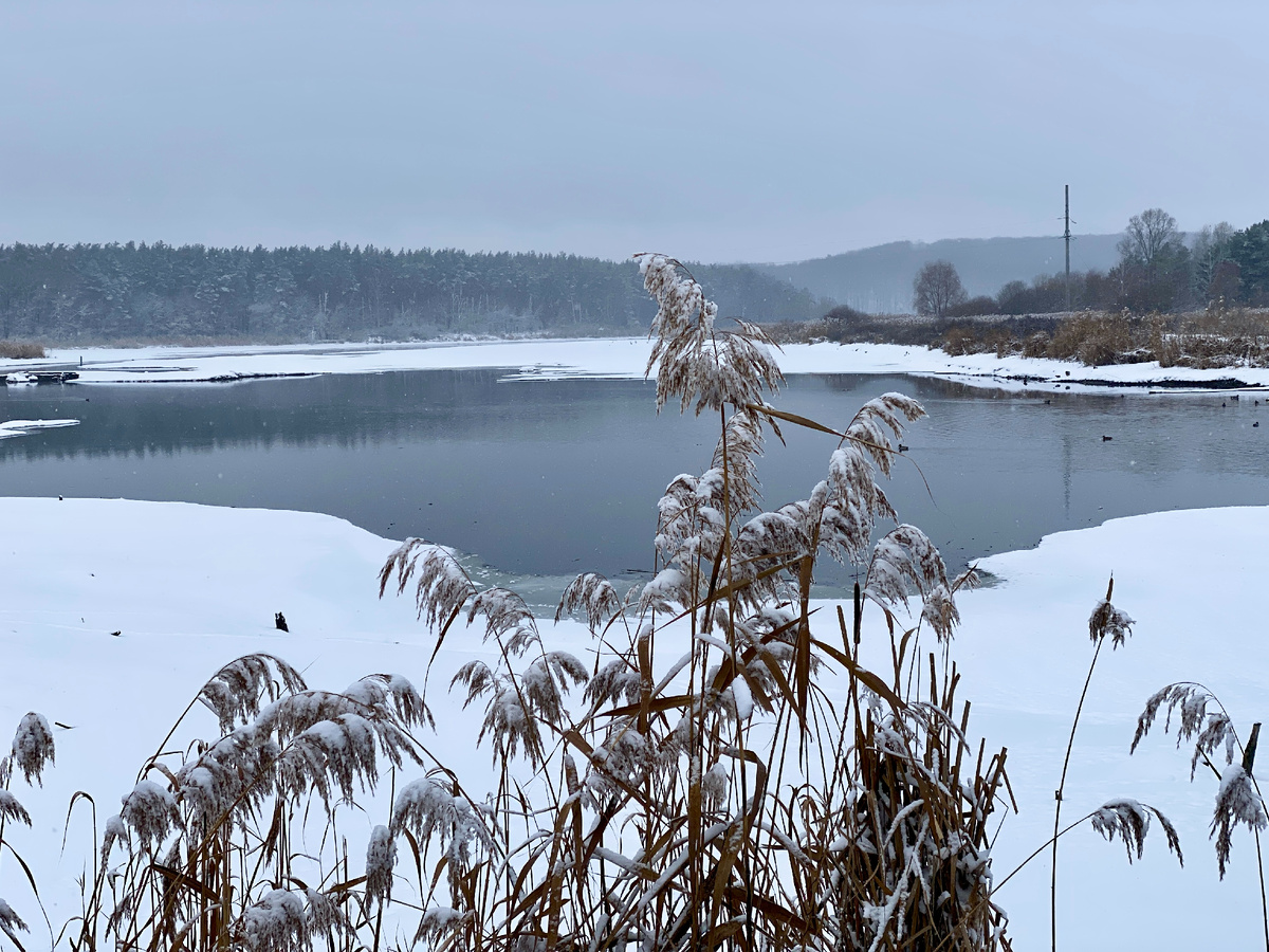 Река Разумная не вся замёрзла