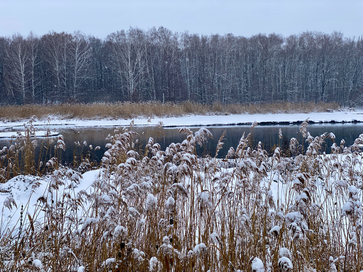 Река Разумная