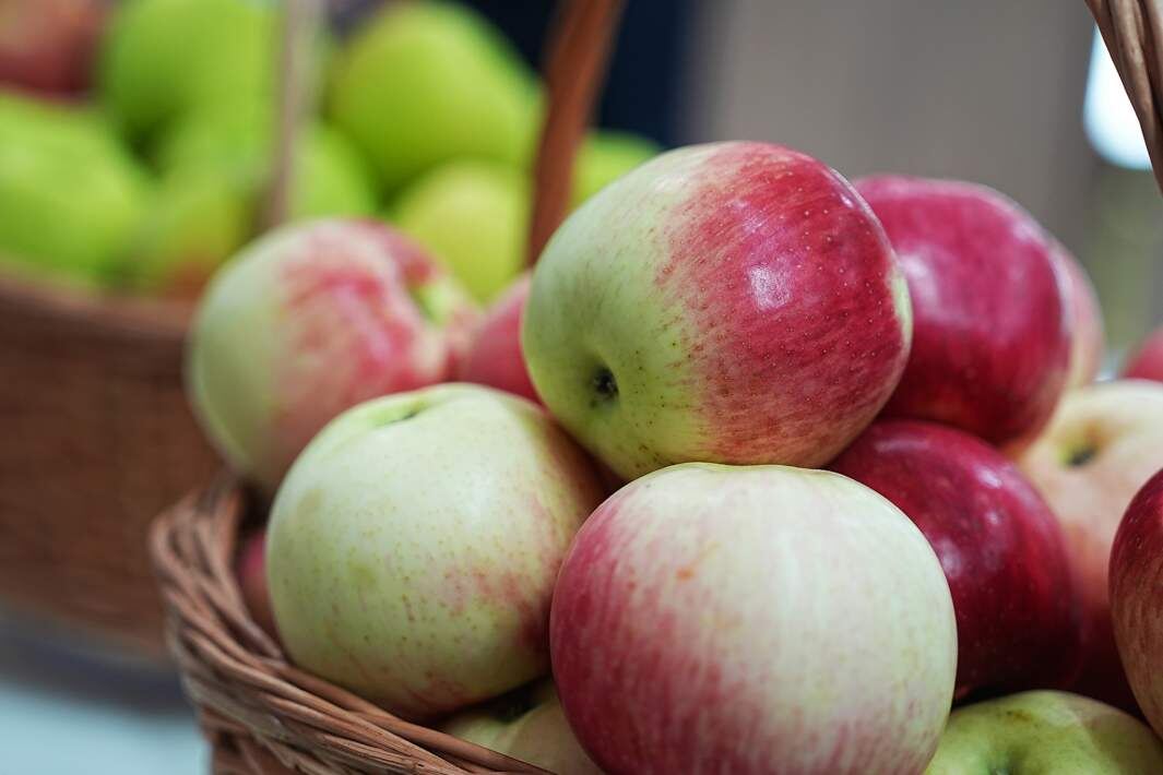 Фото: ИЗВЕСТИЯ/Павел Волков