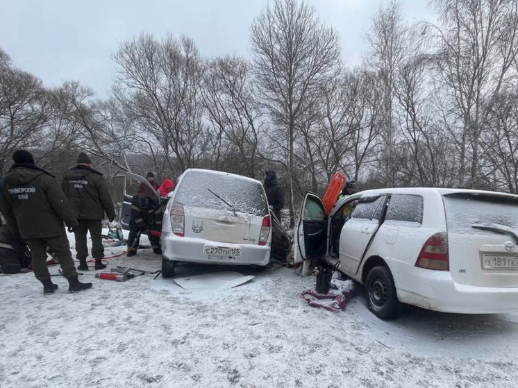    Смертельное ДТП в Лесозаводске: водитель Mitsubishi выехал на встречку. фото: гаи приморья