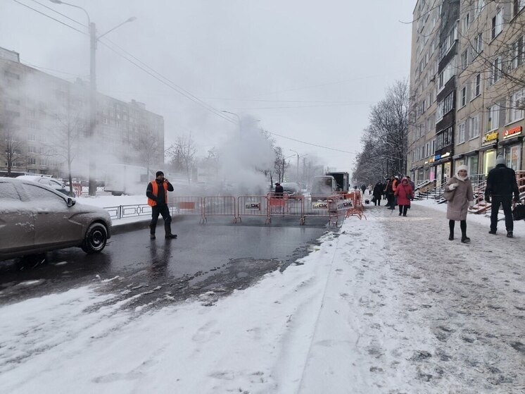     Фото: МК в Питере/Наталья Ефимова