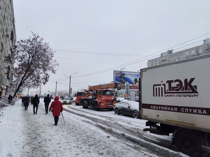     Фото: МК в Питере/Наталья Ефимова