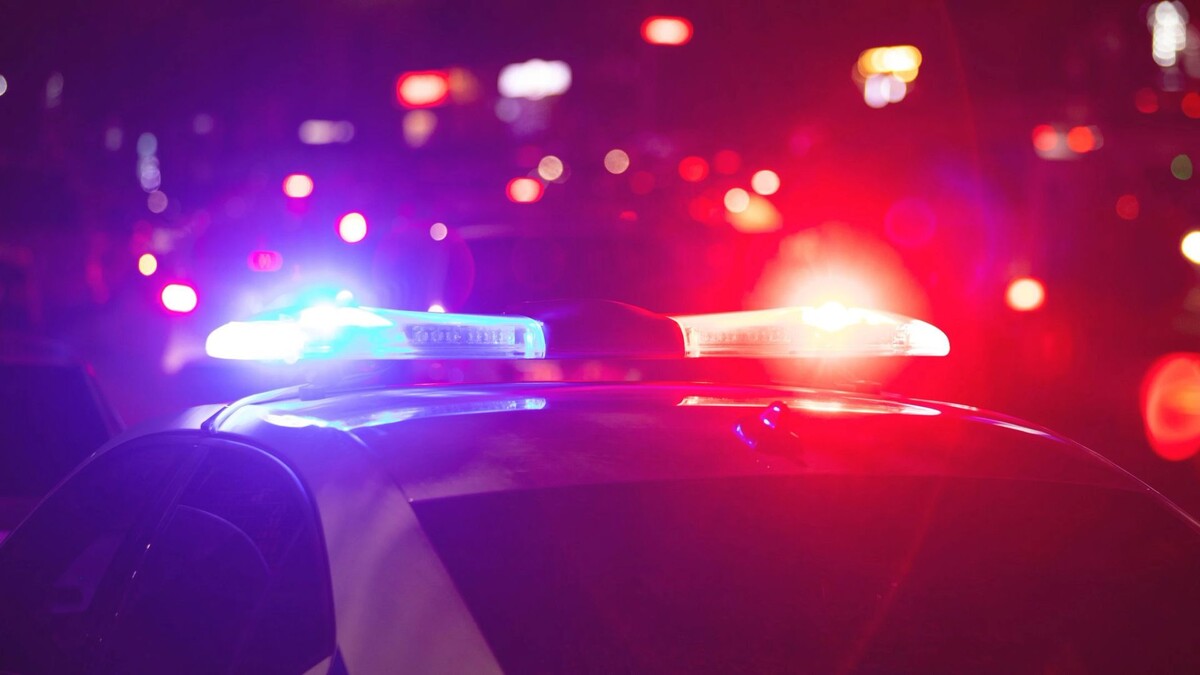    Фото: ANDRANIK HAKOBYAN/Shutterstock/Fotodom