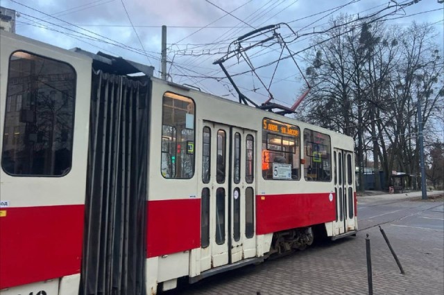   Фото: Калининград.Ru