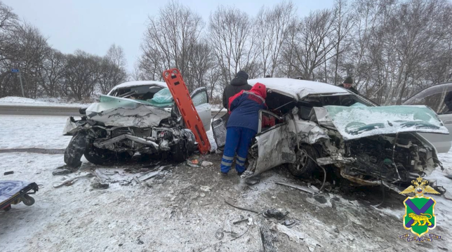    Источник фото: пресс-служба УМВД России по Приморскому краю