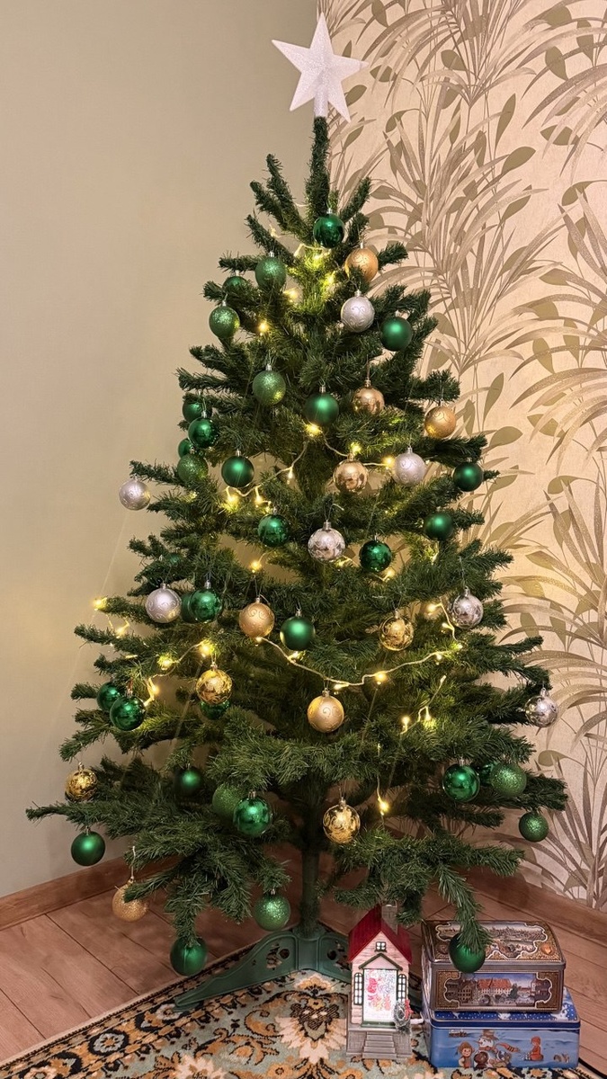 наша елочка