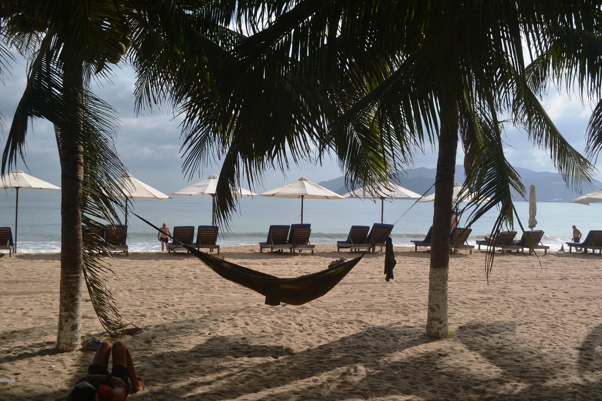 Турист под пальмой