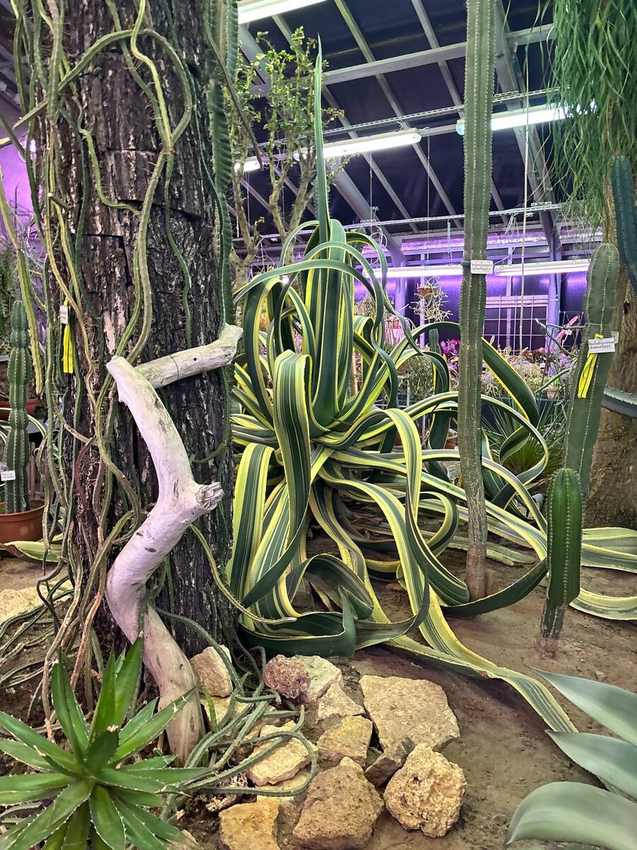 Фото от дочери. 