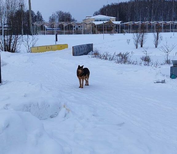    Фото: взято из соцсетей
