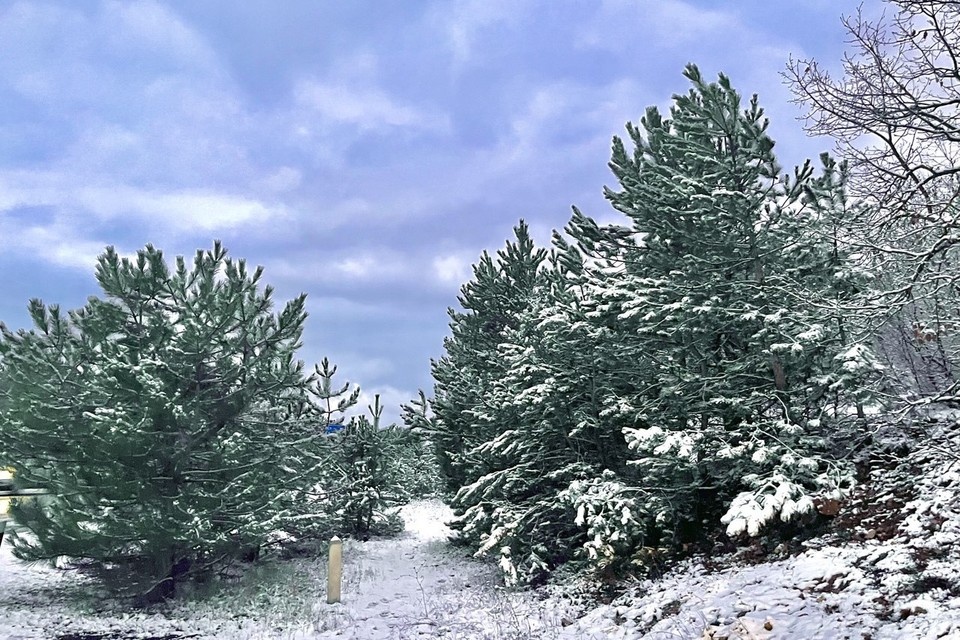    Севастополь засыпало снегом. Виктория Орлова