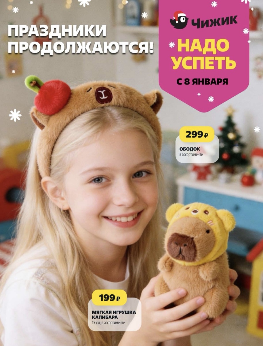 Электронный каталог товаров в Чижике.