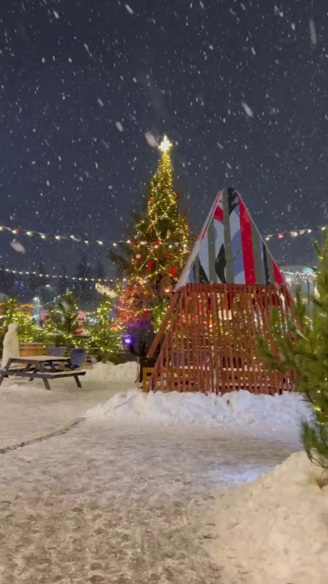 Много людей приходить на ярмарку "Дуб и ёлка"