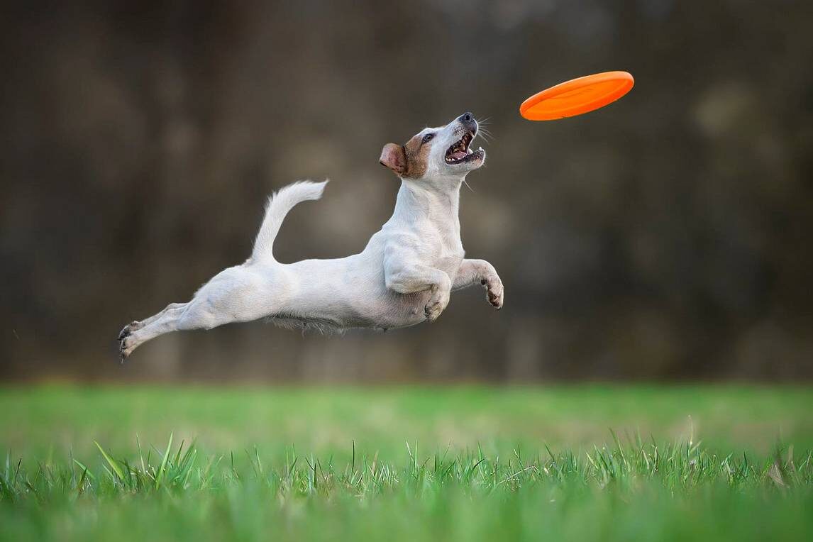 Кажется, гравитация для них — лишь рекомендация, а не закон.