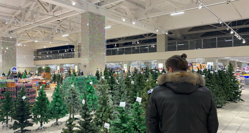    Фото: progorod43.ru