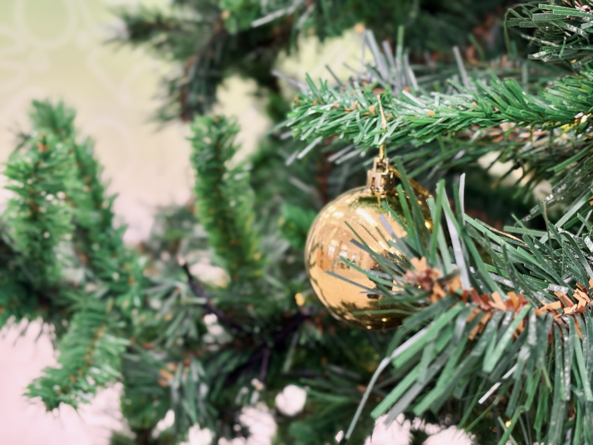 Портал «Моя Казань» / Диана Жиленкова