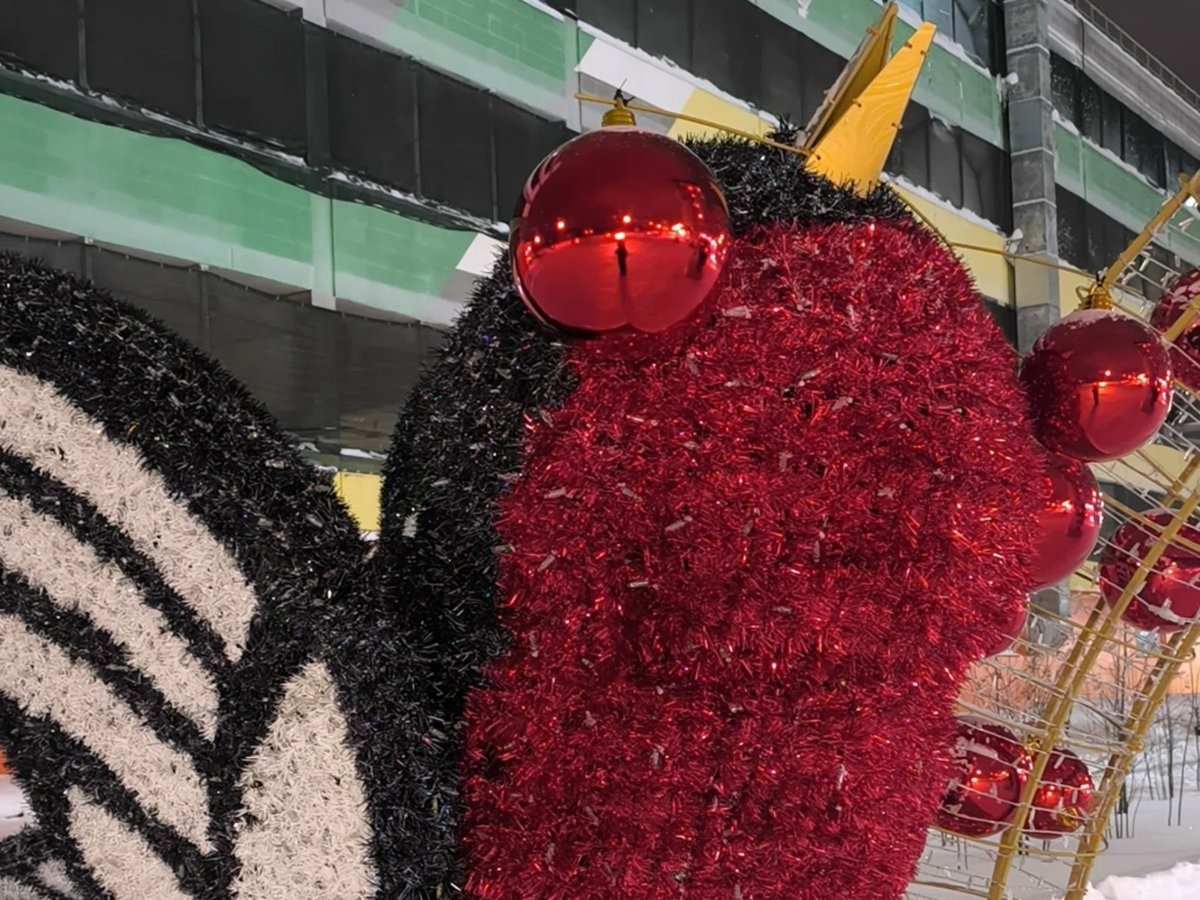     Снегирей за 1,8 миллиона рублей установили на Рябиновом Бульваре