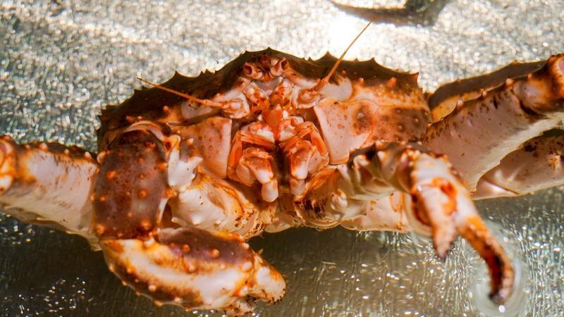    Фото: Sergey Petrov/news.ru via globallookpress.com