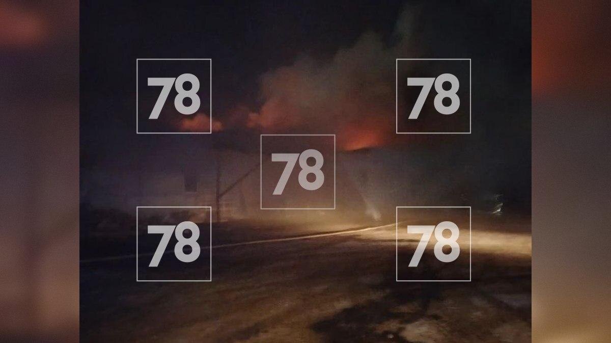    Фото: 78.ru