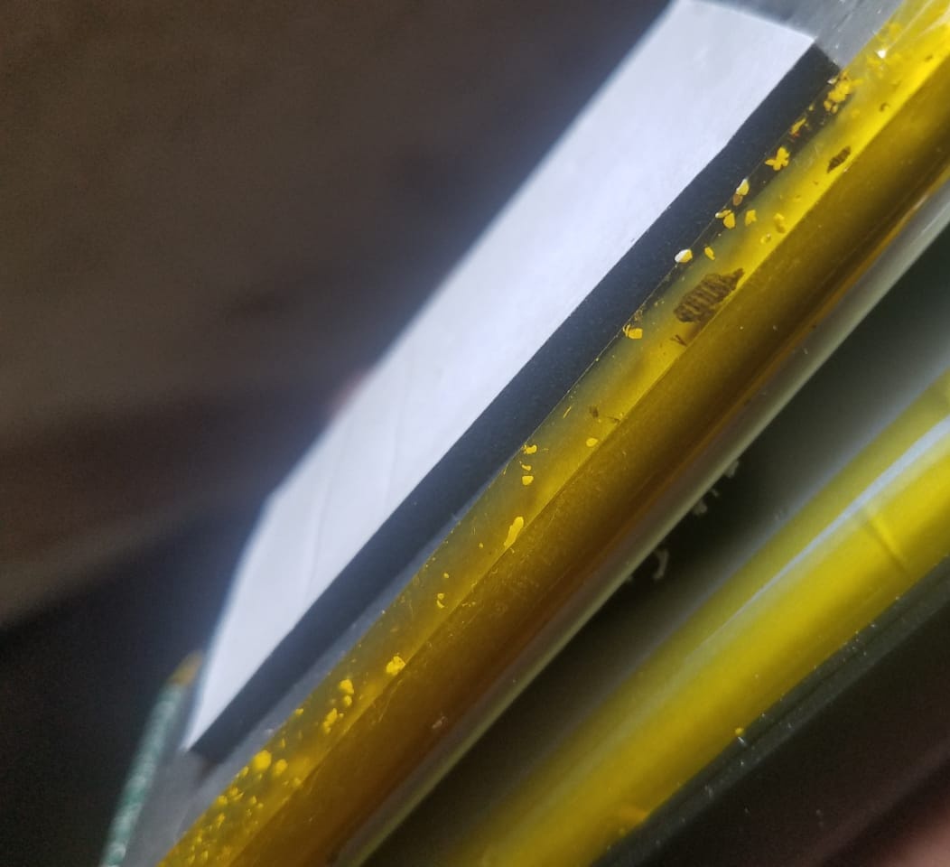 Фото: phonefuturist  📷
