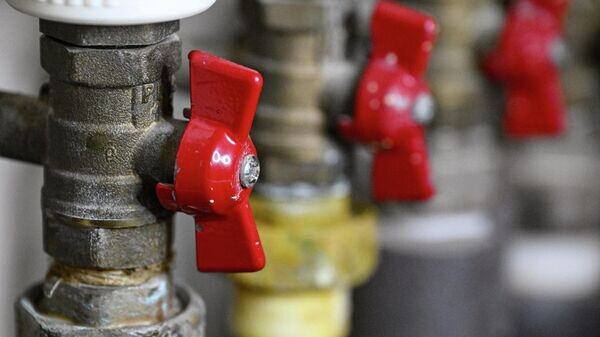    © Sputnik / Кирилл Каллиников