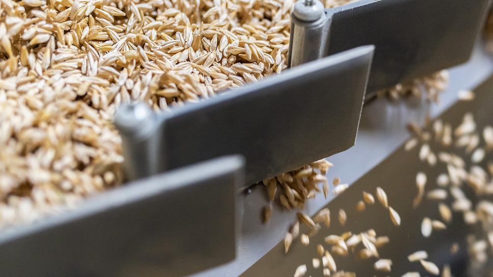 Фото: Олег Харсеев / Коммерсантъ