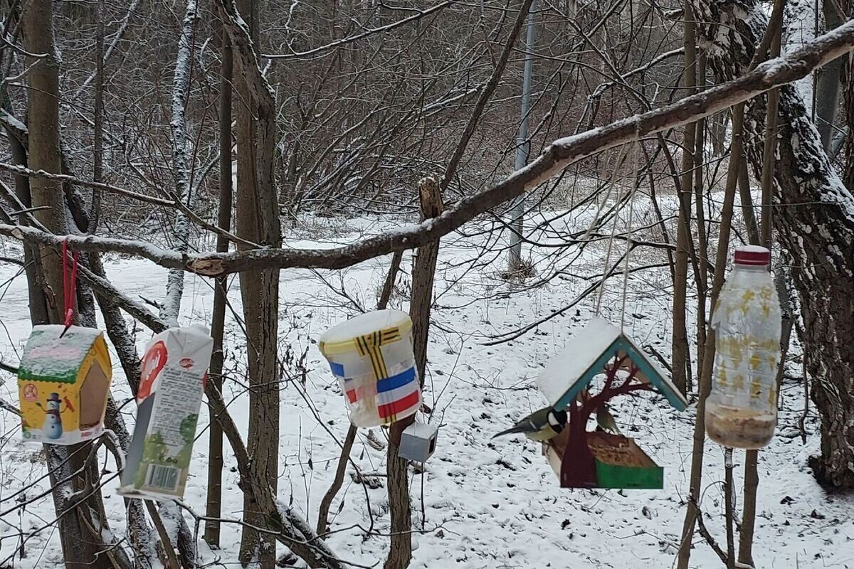 Зимний, морозный день — сегодня в Москве около –10°C. Отправляюсь с дочерью в Битцевский лес — показать ей местных обитателей и помочь наполнить кормушки. Источник: личный архив Евгении Проценко📷
