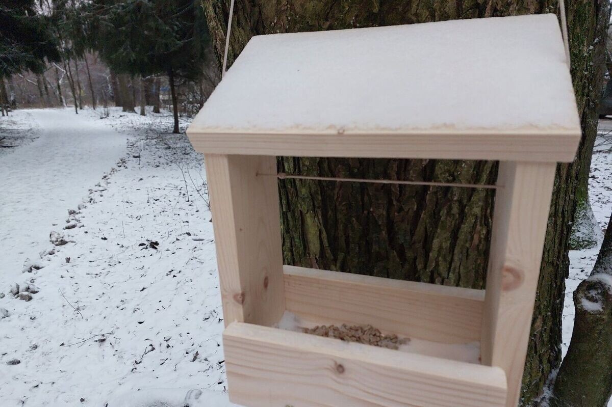 Семечки можно предлагать как очищенные, так и с лузгой. Источник: личный архив Евгении Проценко📷
