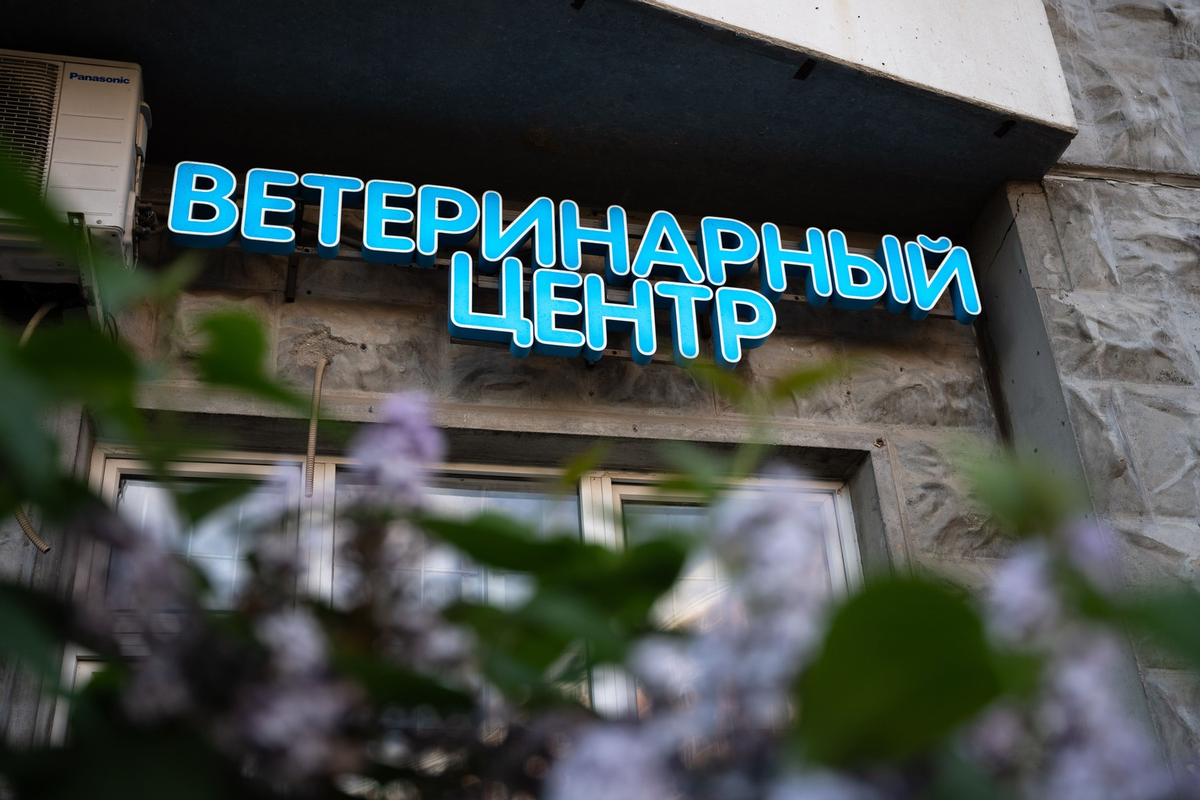 Фото: Александр Плонский / «ВиЖ»