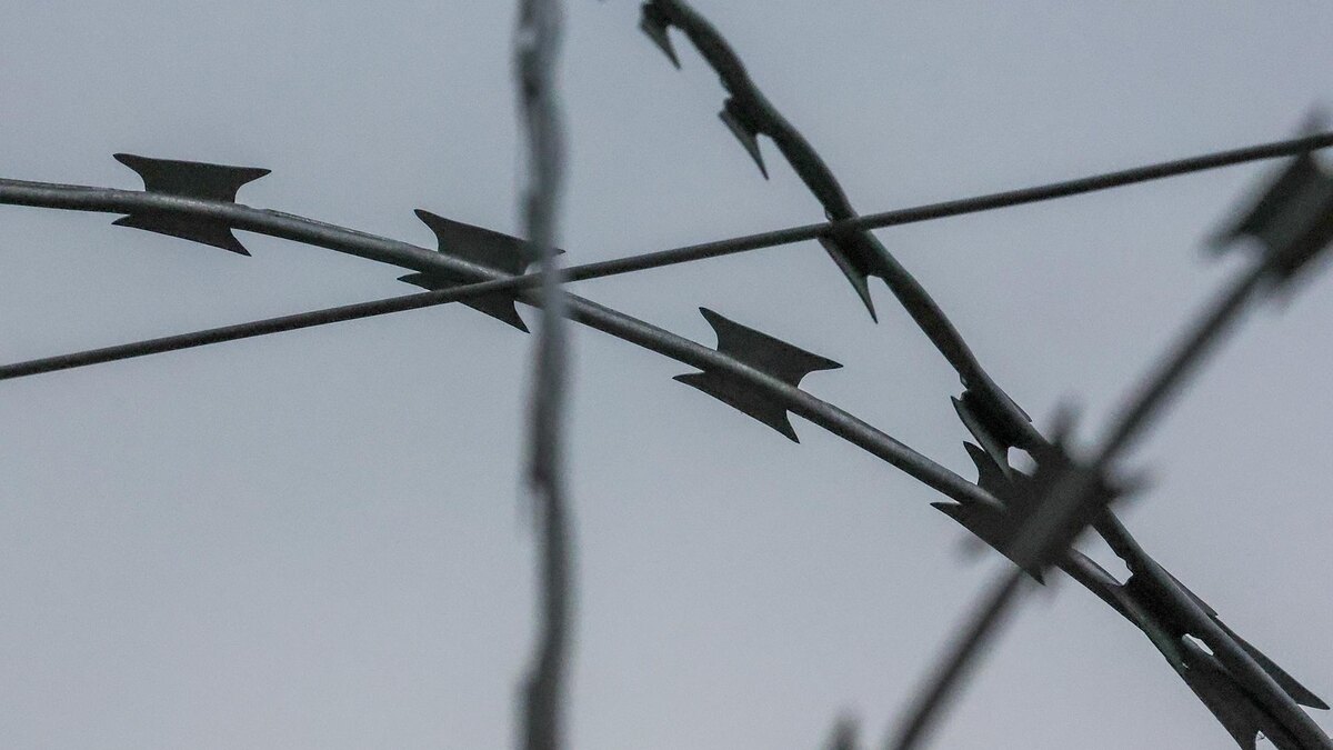    Фото: Belkin Alexey/globallookpress.com