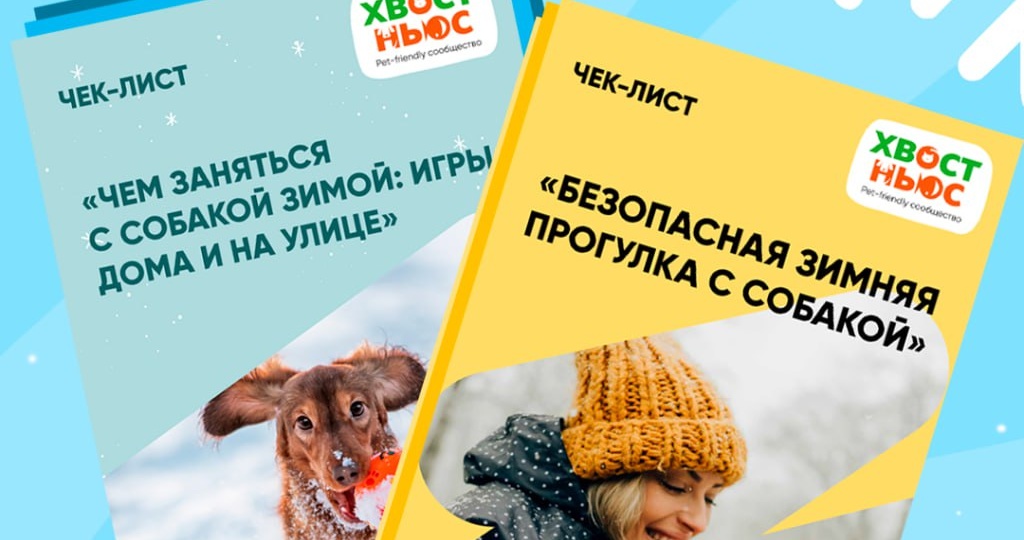 Бесплатные чек-листы для зимних прогулок с собаками