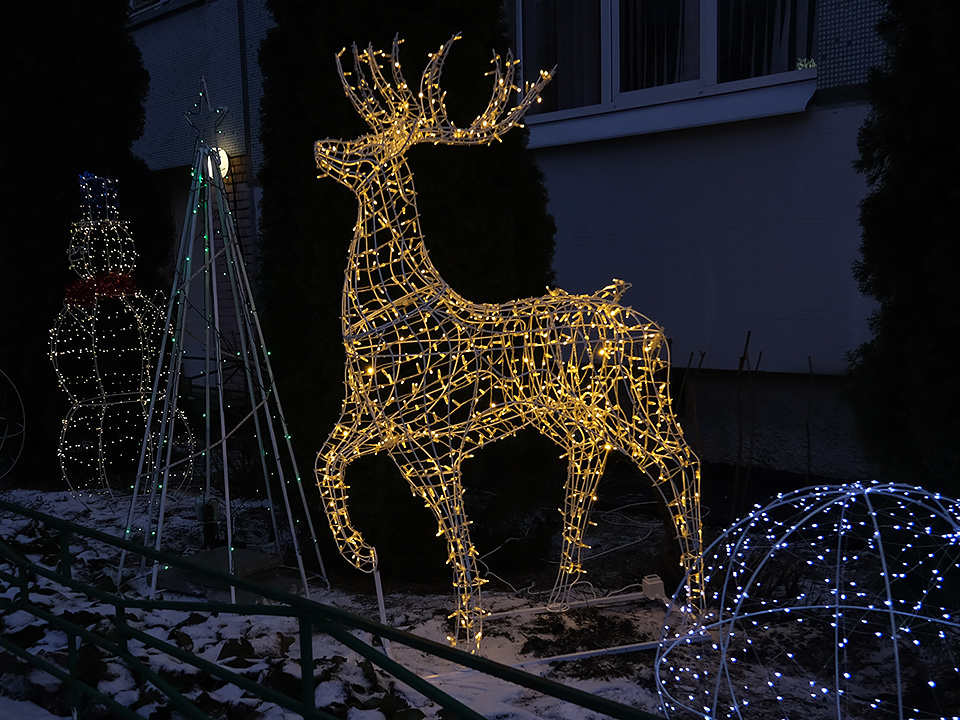    Фото: МедиаБанк Подмосковья/Анастасия Игнатова