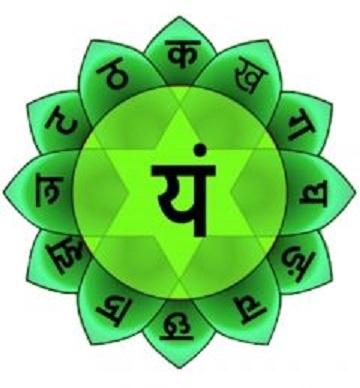 Изображение (янтра) Анахата-чакры с биджа-мантрой.