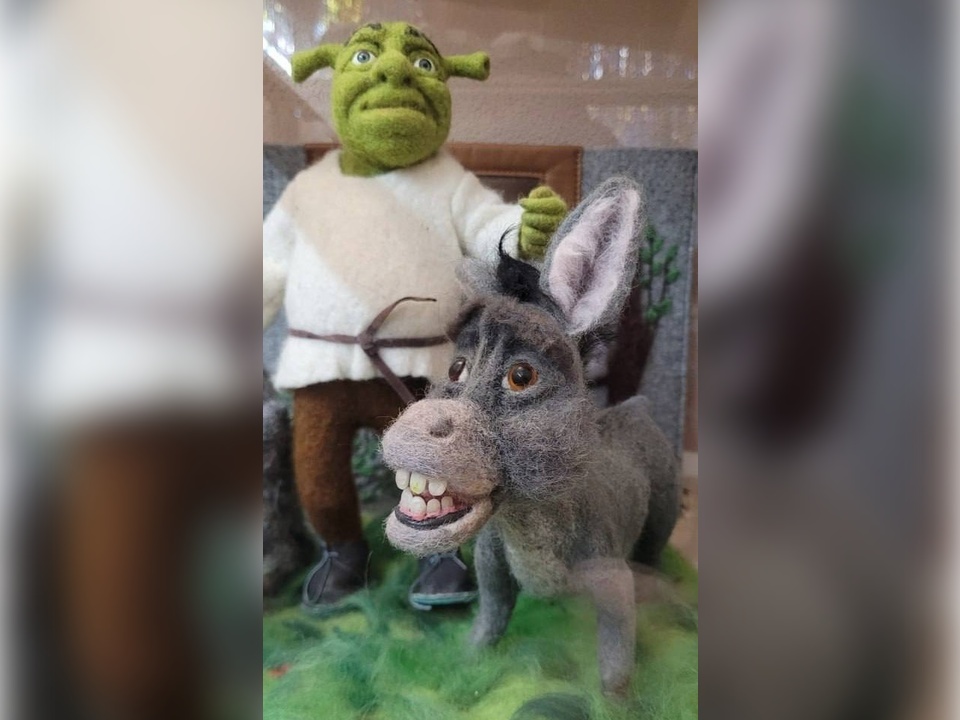    Фото: пресс-служба администрации Волоколамского м.о.