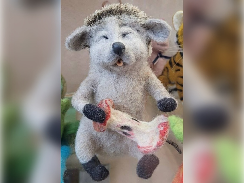     Фото: пресс-служба администрации Волоколамского м.о.