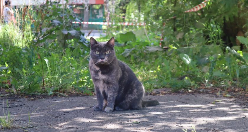    Фото из архива редакции
