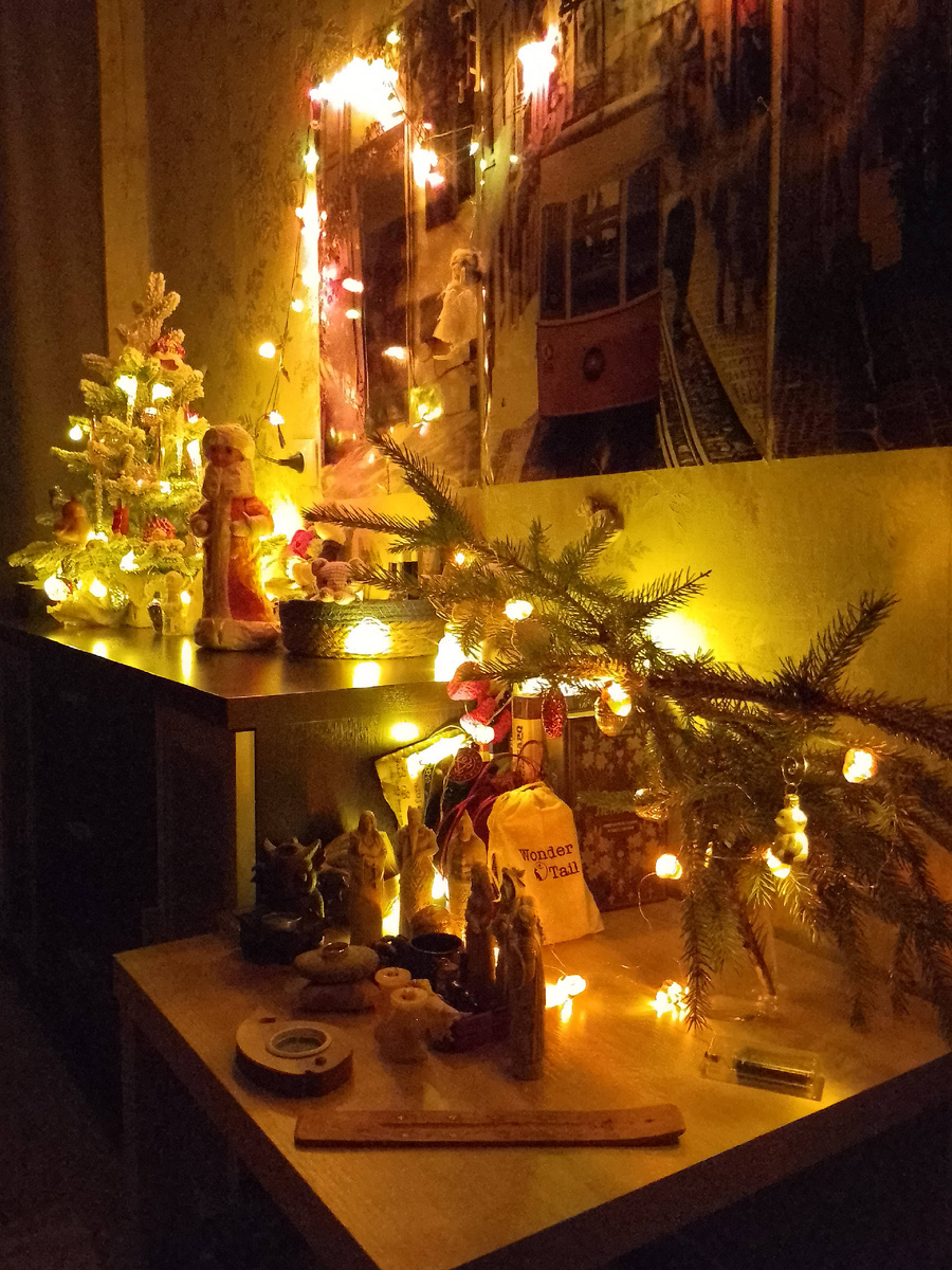 Фото автора.