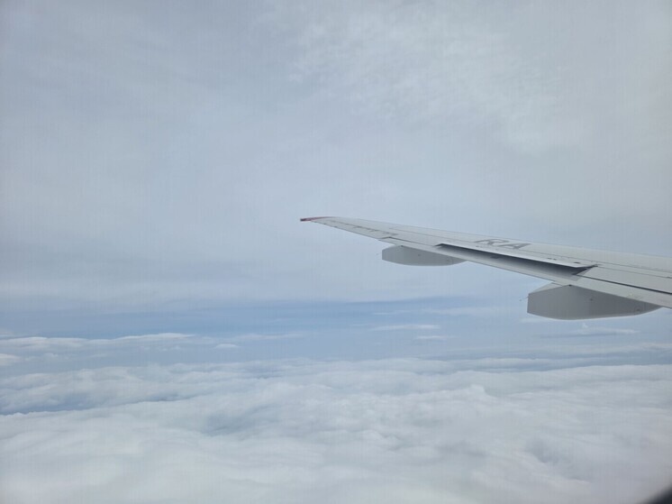     Фото: МК в Сочи