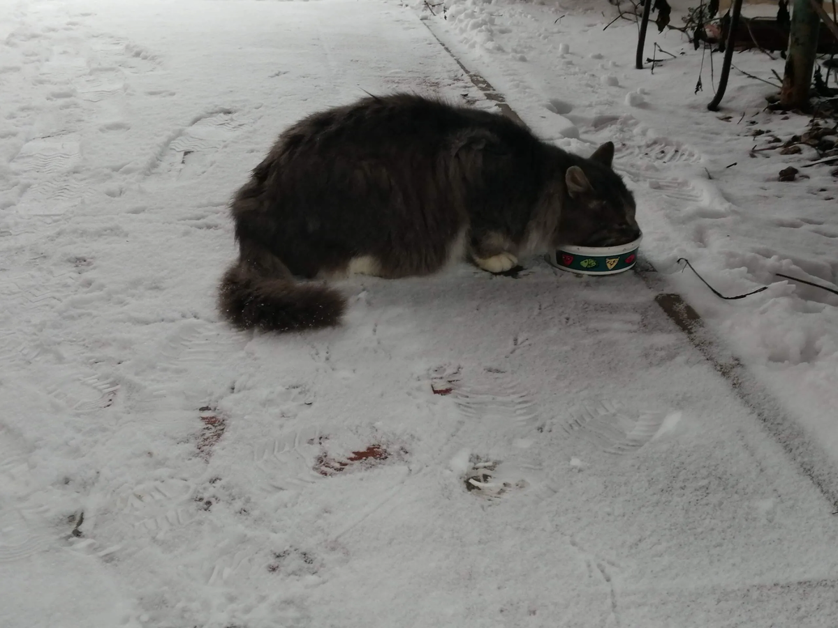 Фото автора