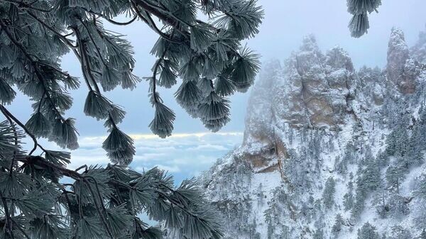    © Туристический центр Ай-Петри