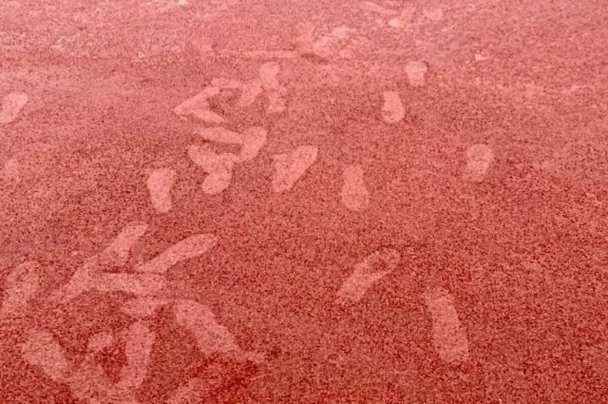    Неизвестные испортили новое покрытие спортплощадки в Керчи