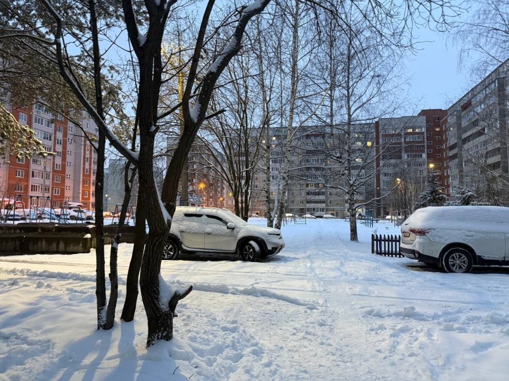    Яна Пивцайкина