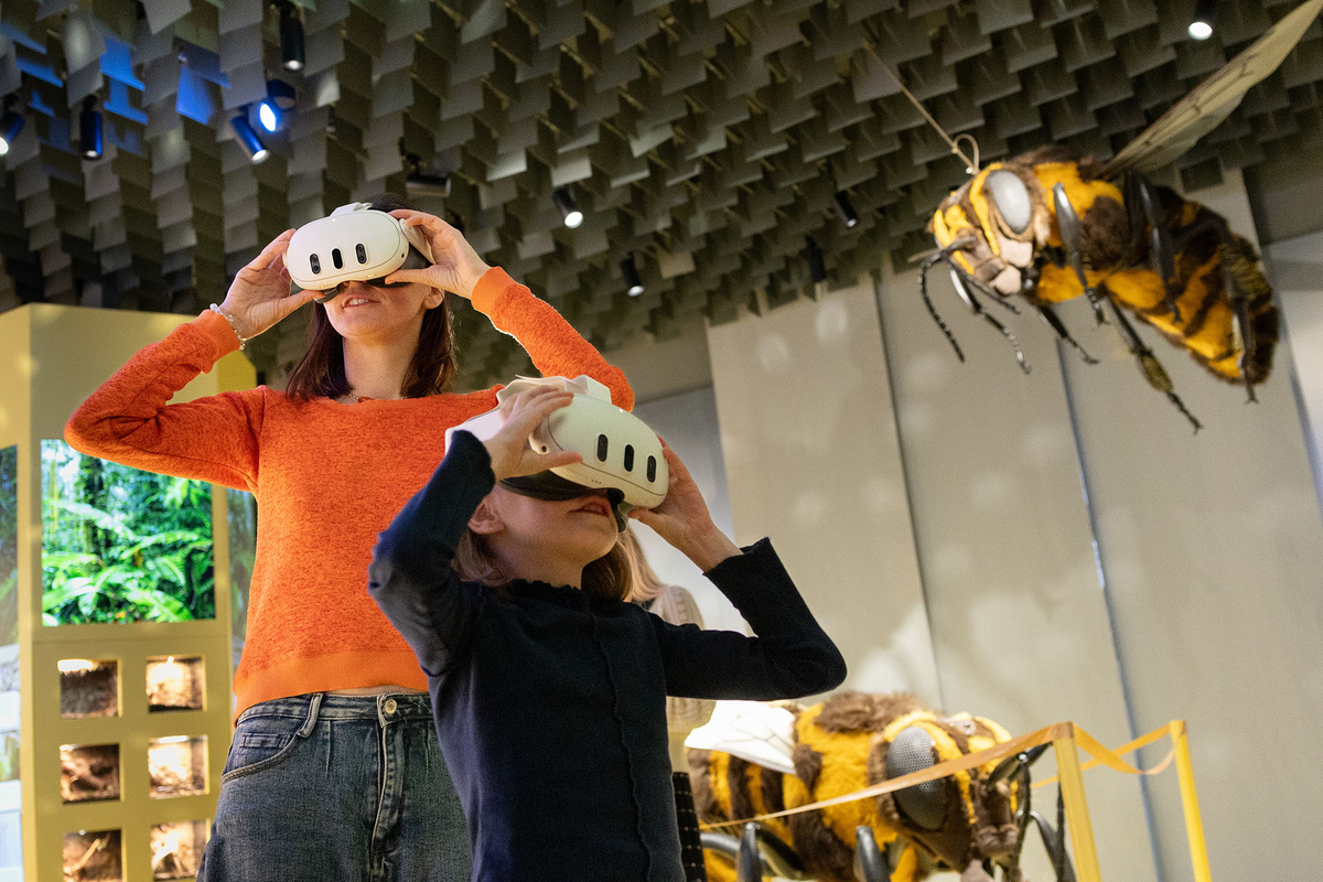    Павильон №28 «Пчеловодство»